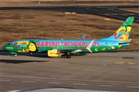 �Daniel Schwinn. Click to see full size photo