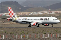 ©Alfonso Solís - Asociación Canary Islands Spotting. Click to see full size photo ©Alfonso Solís - Asociación Canary Islands Spotting. Click to see full size photo