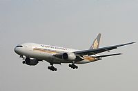 Jos Miguel Bernases - Noisy Spotters. Click to see full size photo
