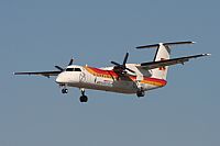 Jos Miguel Bernases - Noisy Spotters. Click to see full size photo