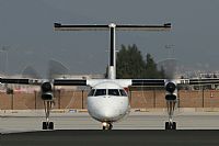 Jos Miguel Bernases - Noisy Spotters. Click to see full size photo