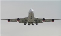 LUIS F. RODRIGO LAMATA. Click to see full size photo