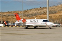 Javier de la Cruz - CANARY ISLANDS SPOTTING. Click to see full size photo