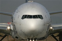 Jos Miguel Bernases - Noisy Spotters. Click to see full size photo