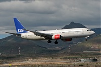 ©La Roche Spotters. Click to see full size photo ©La Roche Spotters. Click to see full size photo
