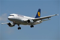 Rodrigo Carvalho - Noisy Spotters. Click to see full size photo
