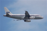 Chalo Canary Islands Spotting. Click to see full size photo