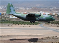 Alejandro H.L - Gran Canaria Spotters. Click to see full size photo