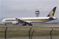 Jos Miguel Bernases - Noisy Spotters. Click to see full size photo