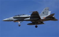 ©Fco Javier Chao. Click to see full size photo ©Fco Javier Chao. Click to see full size photo