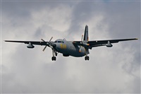 JF Alemn-GranCanariaSpotters. Click to see full size photo