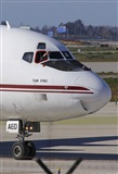 Jos Miguel Bernases - Noisy Spotters. Click to see full size photo