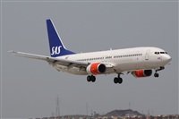 Alfonso Sols - Asociacin Canary Islands Spotting. Click to see full size photo