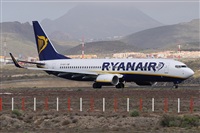 Alfonso Sols - Asociacin Canary Islands Spotting. Click to see full size photo