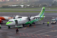 Javier de la Cruz - CANARY ISLANDS SPOTTING. Click to see full size photo