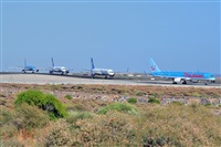 Miguel A. gueda Rguez.  (CANARY ISLANDS SPOTTING). Click to see full size photo