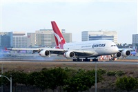 Ana L@dy Spotter. Haz click para ampliar