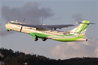 Javier de la Cruz - CANARY ISLANDS SPOTTING. Click to see full size photo