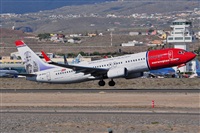 Miguel A. gueda Rguez.  (CANARY ISLANDS SPOTTING). Click to see full size photo