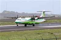 Nacho Rodriguez - Canary Islands Spotting. Click to see full size photo