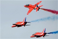 Tams. Click to see full size photo