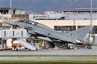 ©Salvador de la Rubia ( Marbella Spotters ). Click to see full size photo ©Salvador de la Rubia ( Marbella Spotters ). Click to see full size photo