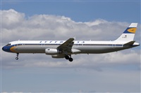 Miguel Alia - Noisy Spotters. Click to see full size photo