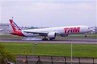 Javier de la Cruz - CANARY ISLANDS SPOTTING. Click to see full size photo