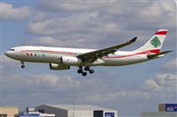 Javier de la Cruz - CANARY ISLANDS SPOTTING. Click to see full size photo