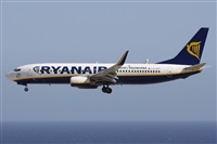©Alfonso Solís - Asociación Canary Islands Spotting. Click to see full size photo ©Alfonso Solís - Asociación Canary Islands Spotting. Click to see full size photo