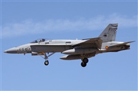 Alfonso Sols - Asociacin Canary Islands Spotting. Haz click para ampliar