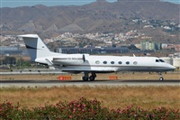 ©Salvador de la Rubia ( Marbella Spotters ). Click to see full size photo ©Salvador de la Rubia ( Marbella Spotters ). Click to see full size photo