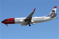 ©Alfonso Solís - Asociación Canary Islands Spotting. Click to see full size photo ©Alfonso Solís - Asociación Canary Islands Spotting. Click to see full size photo