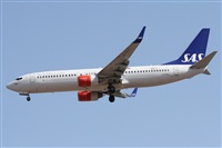 Alfonso Sols - Asociacin Canary Islands Spotting. Click to see full size photo