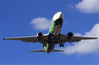 Saimon J Rodriguez   -   Canary Islands Spotting. Click to see full size photo