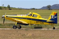 Josep Oll. Click to see full size photo
