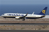 Alfonso Sols - Asociacin Canary Islands Spotting. Click to see full size photo