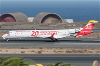 ©Adolfo Bento - Gran Canaria Spotters. Click to see full size photo ©Adolfo Bento - Gran Canaria Spotters. Click to see full size photo