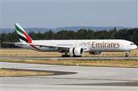 Rubn Gil - Noisy Spotters. Click to see full size photo