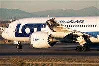 Miguel Martin Cordeiro - Iberian Spotters. Click to see full size photo