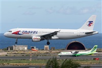 ©Adolfo Bento - Gran Canaria Spotters. Click to see full size photo ©Adolfo Bento - Gran Canaria Spotters. Click to see full size photo