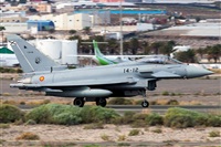 Florencio Martn Melin - Lanzarote Spotters. Haz click para ampliar