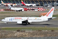 ©Alfonso Solís - Asociación Canary Islands Spotting. Click to see full size photo ©Alfonso Solís - Asociación Canary Islands Spotting. Click to see full size photo