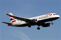 Alfonso Sols - Asociacin Canary Islands Spotting. Click to see full size photo