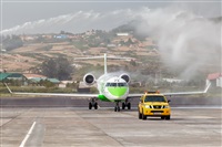 Javier de la Cruz - CANARY ISLANDS SPOTTING. Click to see full size photo