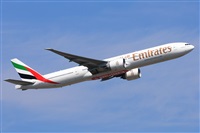 Miguel A. gueda Rguez.  (CANARY ISLANDS SPOTTING). Haz click para ampliar