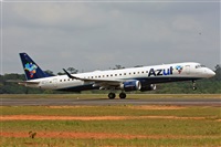 Fabio Duarte - Manaus Spotting Team. Click to see full size photo
