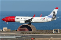 ©Adolfo Bento - Gran Canaria Spotters. Click to see full size photo ©Adolfo Bento - Gran Canaria Spotters. Click to see full size photo