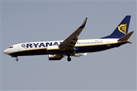 Alfonso Sols - Asociacin Canary Islands Spotting. Click to see full size photo