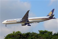 Miguel A. gueda Rguez.  (CANARY ISLANDS SPOTTING). Click to see full size photo